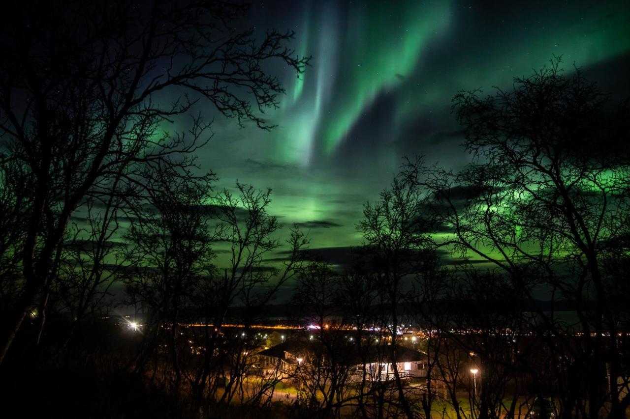 Varangertunet Arctic Resort Jakobselv Экстерьер фото