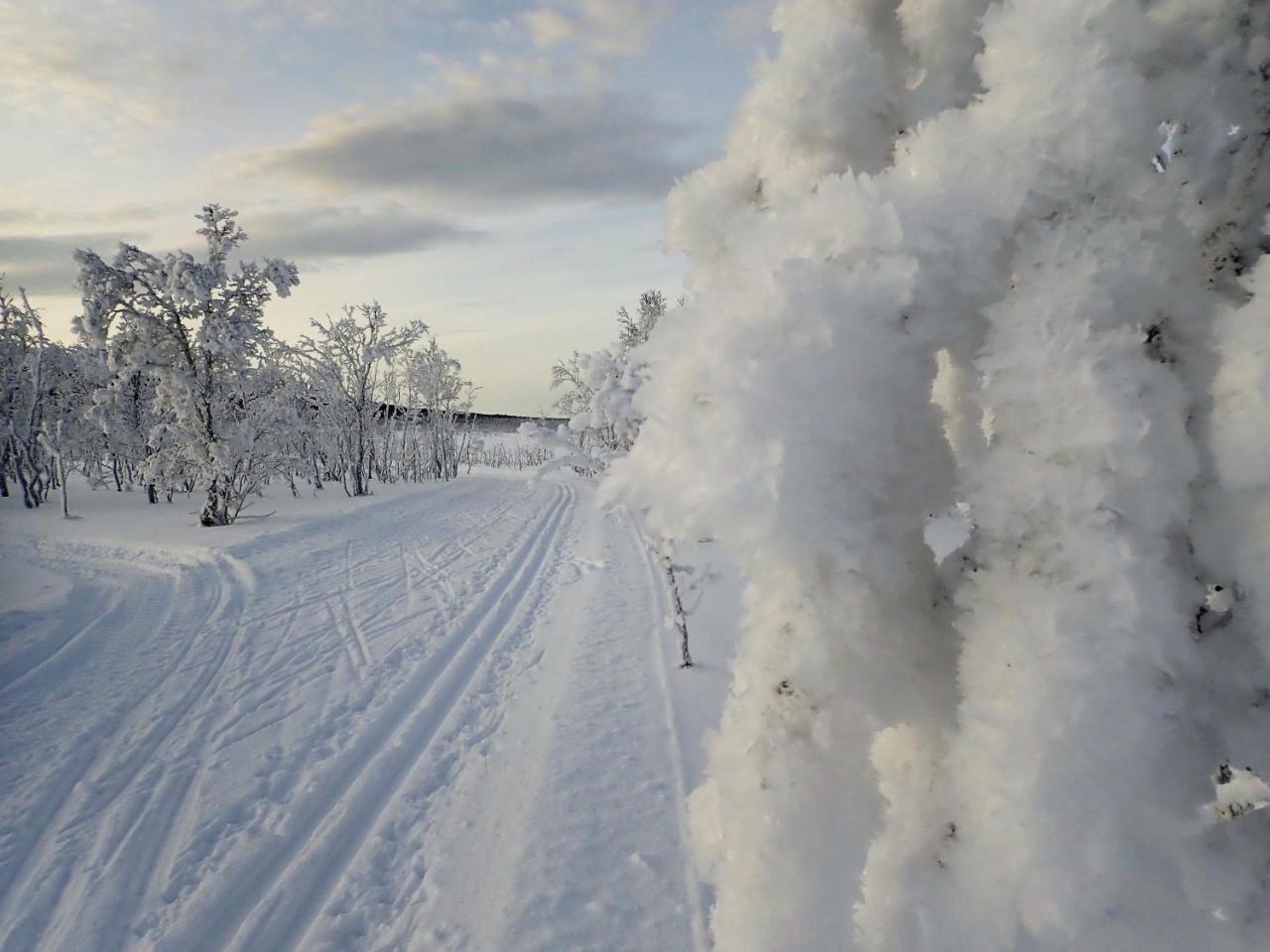 Varangertunet Arctic Resort Jakobselv Экстерьер фото